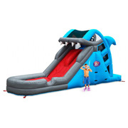 giant inflatable slide